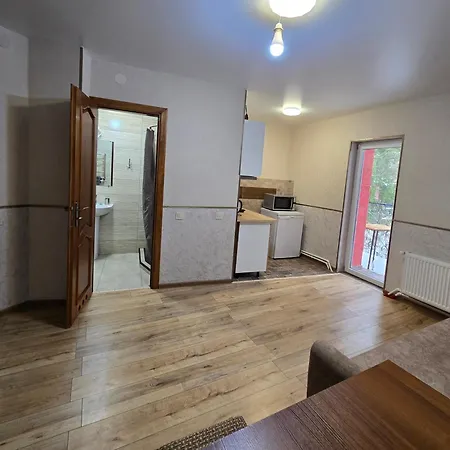 апартаменти-студіо в трускавці *